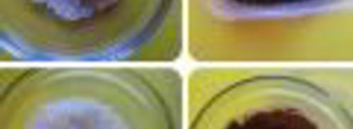 нутовые конфетки. Шаг 5