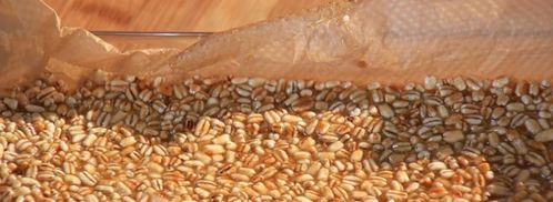 козинаки из перловки. Шаг 3