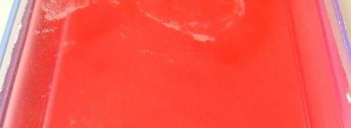 мини-торты с розами, малиновым желе и сливочным кремом. Шаг 11