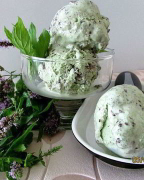 Мятное мороженое с кусочками шоколада