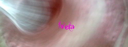 сливочно-клубничное мороженое. Шаг 2