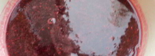 торт-мороженое с меренгой и фруктами. Шаг 9