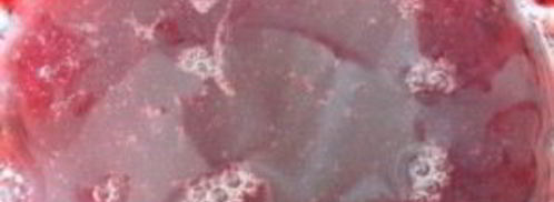 смородиновый мусс. Шаг 6