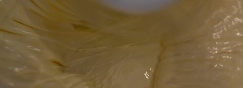 торт-мусс медово-яблочный. Шаг 4