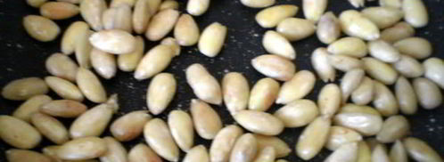 паасброд — нидерландский пасхальный хлеб. Шаг 5