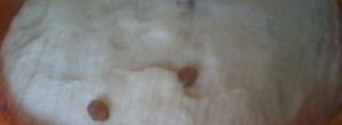 пасха запеченная. Шаг 4