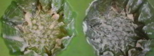 пудинг творожный на пару. Шаг 9