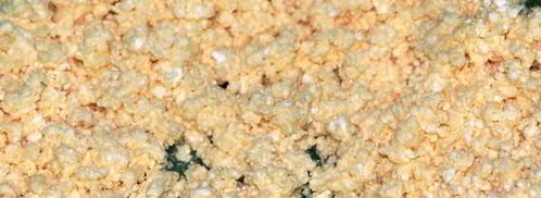 сладкий киш с творожным суфле и абрикосами. Шаг 8