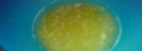 суфле с лаймом. Шаг 2