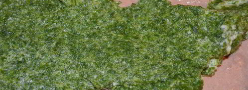 террин-суфле три вкуса. Шаг 16