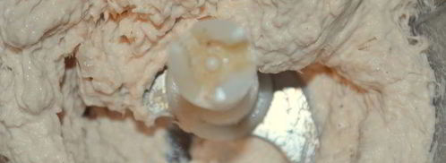 террин-суфле три вкуса. Шаг 5