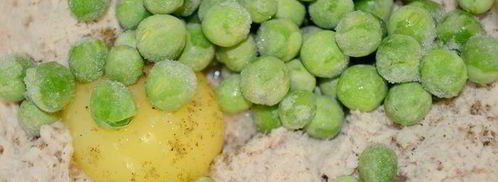 террин-суфле три вкуса. Шаг 6