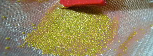 творожное суфле с белым шоколадом и клубникой. Шаг 7