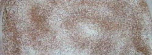 тирамису с перепелиными яйцами. Шаг 6