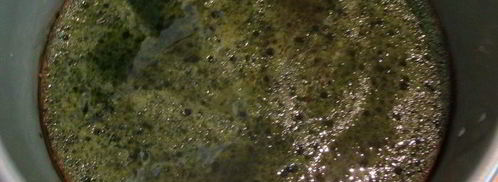 японский десерт с чаем маття. Шаг 11