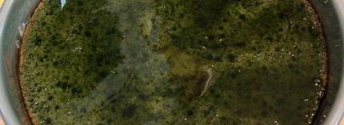 японский десерт с чаем маття. Шаг 18