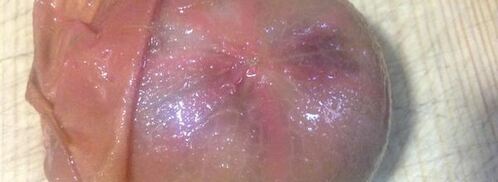 фрикадельки из утки. Шаг 8