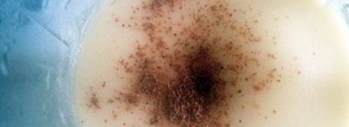 картофельно-ореховые фрикадельки. Шаг 6