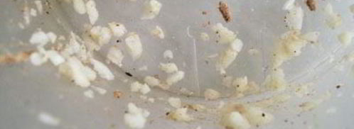 картофельно-ореховые фрикадельки. Шаг 8