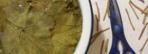 армянская долма из виноградных листьев. Шаг 2