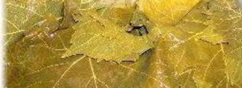 долма с мясной начинкой. Шаг 6