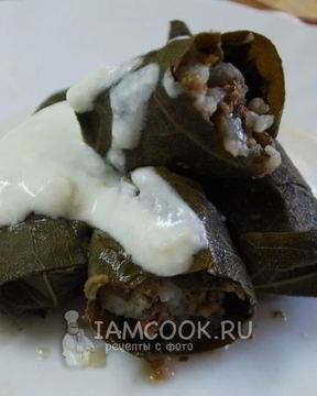 Долма в виноградных листьях