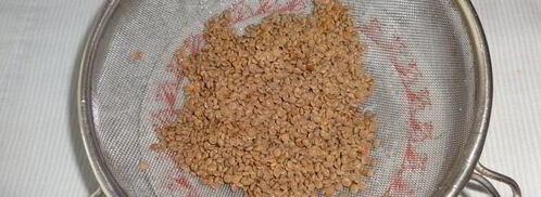 голубцы из молодой капусты с фаршем и чечевицей. Шаг 3