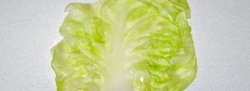 голубцы с печенью и рисом. Шаг 7