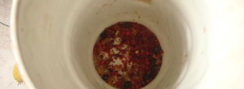 голубцы в лахане с двумя соусами. Шаг 15