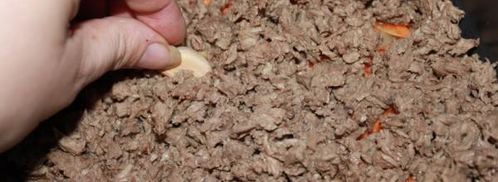 ленивые голубцы на молоке в мультиварке. Шаг 6