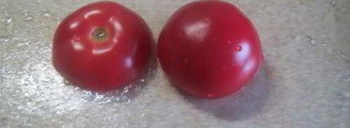 фаршированные грибочки. Шаг 6