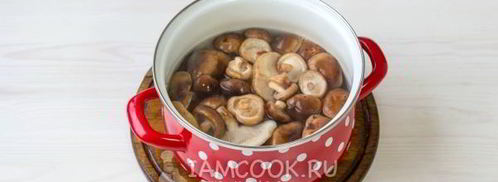 грибы по-корейски. Шаг 5