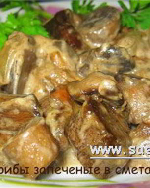 Грибы со сметаной
