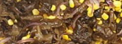 китайские древесные грибы муэр. Шаг 3