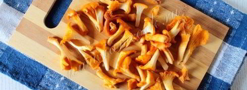 лисички жареные в сметане. Шаг 3