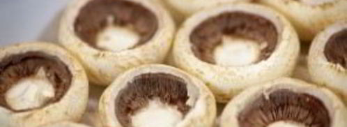 шампиньоны, фаршированные курицей и сыром. Шаг 11