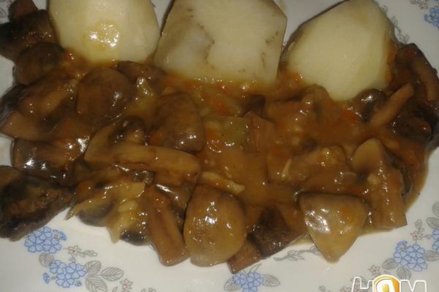 Рецепт шампиньонов золотистых