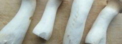 запеченные вешенки. Шаг 2