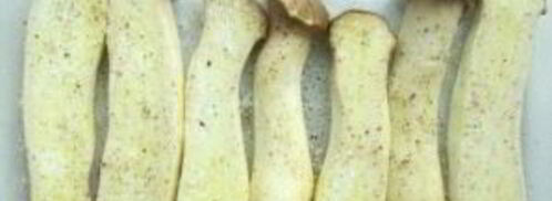 запеченные вешенки. Шаг 3