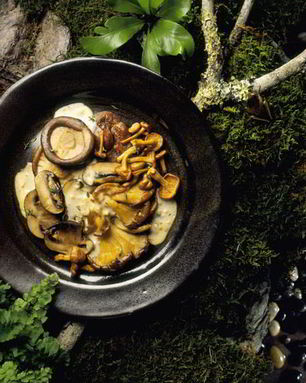 Жареные рыжики