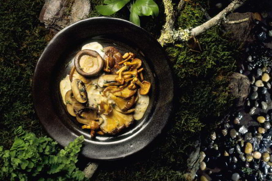 Рецепт жареных рыжиков