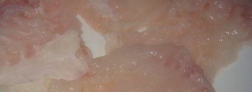 рыбные котлеты любительские. Шаг 2