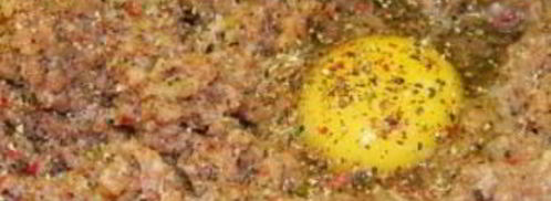 сочные котлеты из говядины. Шаг 4