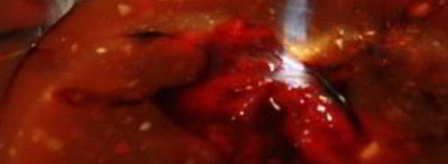 лапша с говядиной. Шаг 7