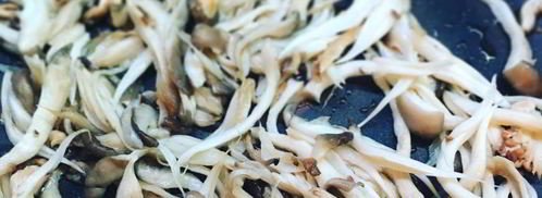 лазанья с вешенками и адыгейским сыром под соусом бешамель. Шаг 5