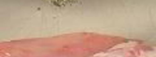 фаршированное седло кролика. Шаг 3