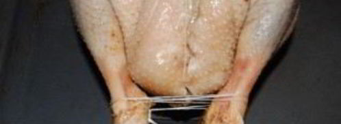 гусь в духовке в рукаве. Шаг 6