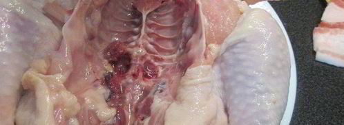 курица с начинкой из бекона и ароматных трав. Шаг 4