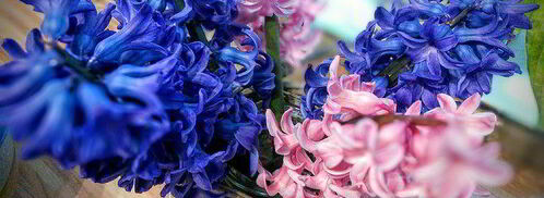 террин из кролика с фундуком. Шаг 8