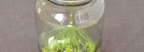 кабачки с кетчупом чили. Шаг 2